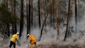 Bushfires in NSW, Australia