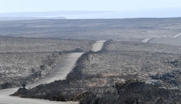 A general view of the damage done to the Flinders Chase National Park after bushfires swept through on Kangaroo Island