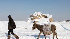 An Afghan man walks with his donkey in a snow-covered street in Kabul