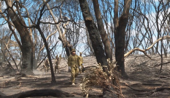 Members of the Australian Department of Defence search for deceased wildlife killed by bushfires on Kangaroo Island, South Australia, Australia