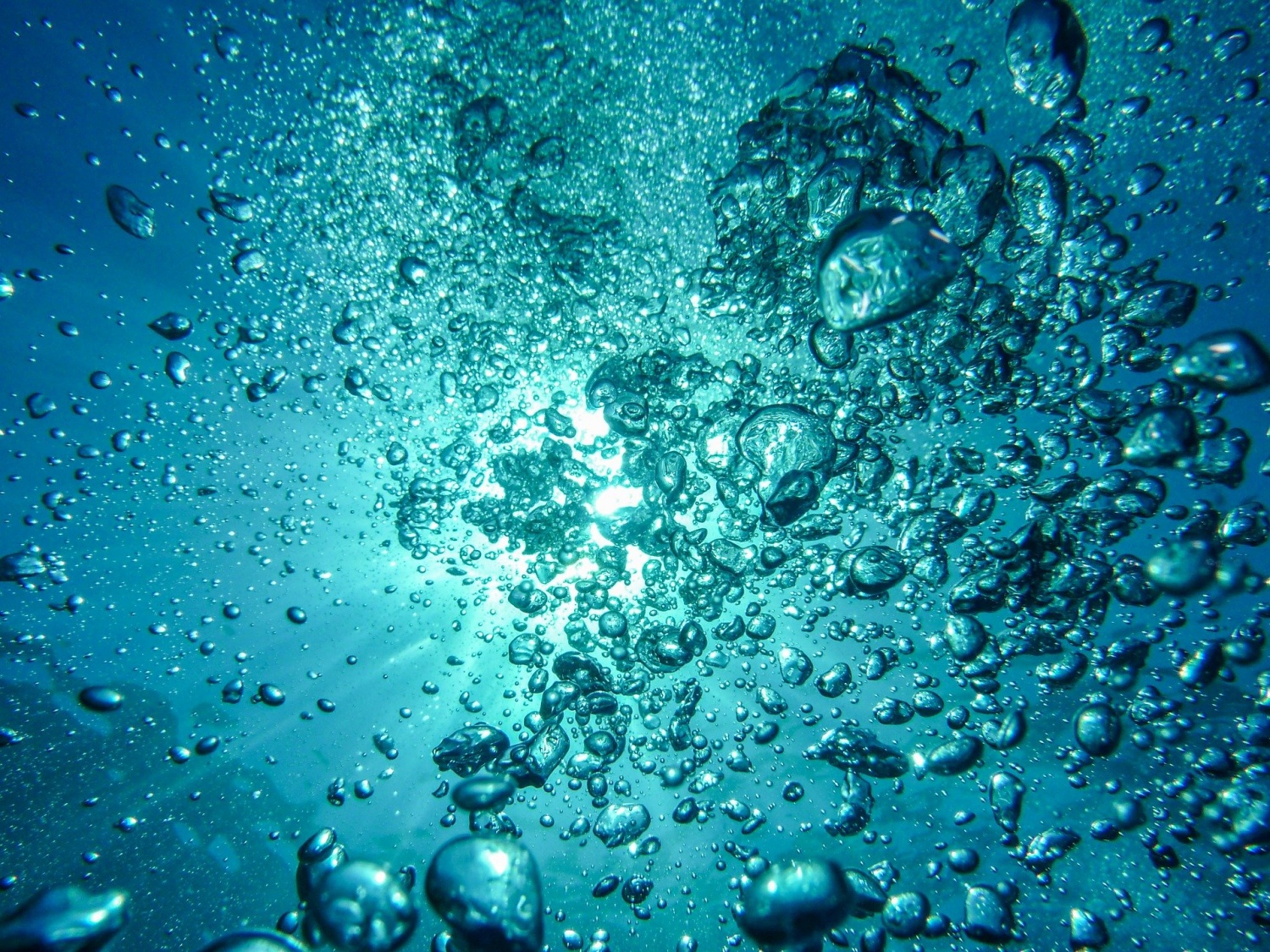 divers-discover-a-bubbling-underwater-spring-on-ocean-water-nature