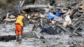 A worker uses a chainsaw to break up a tree in the mudslide near Oso, Washington as rescue efforts continue March 26, 2014.