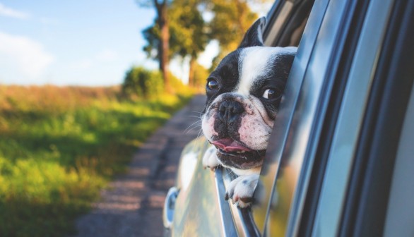 Don’t compromise on your road trip use a car top carrier