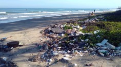 Plastic Pollution Crisis: More Plastics than Fishes in the Ocean by 2050, Envi Group Warns 