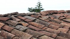 Signs Your Roof Is in Poor Shape