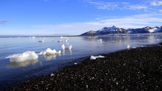  Melting of Arctic Permafrost Brings Long-Dead Viruses Back