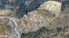 The cliff that collapsed into a massive mudslide is seen covered with felled trees in Oso, Washington March 31, 2014.