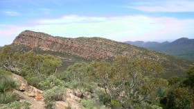 Fossil of Ancestor of All Existing Animals Found in Australia