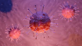 Health News: Where Did The Corona Virus Come From?