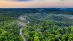 Amazonian regions were agricultural landscapes some 10,000 years ago