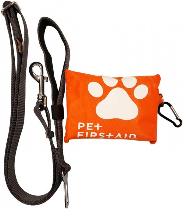 Top Picks: First Aid Kits for Dogs | Nature World News