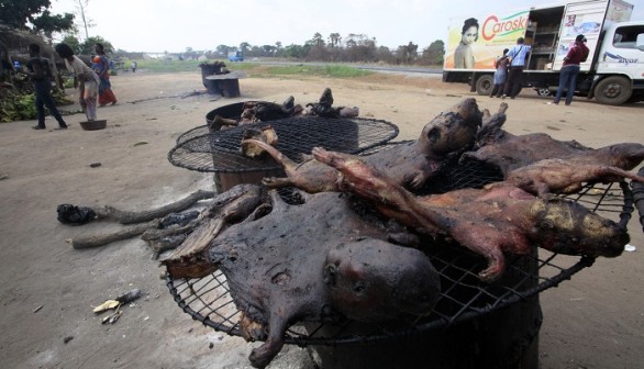 People walk near dried bushmeat near a road of the Yamoussoukro highway March 29, 2014. Bushmeat - from bats to antelopes, squirrels, porcupines and monkeys - has long held pride of place on family menus in West and Central Africa