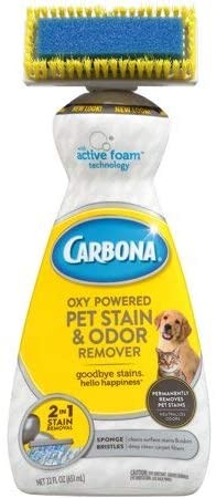 Top Picks : Best Dog Odor and Stain Remover 