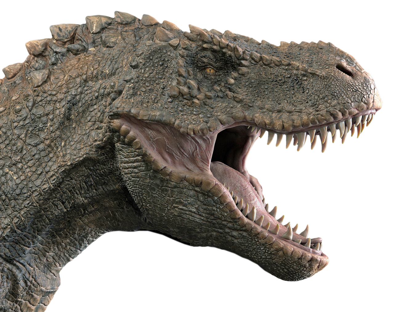 Was T. Rex Designed Specifically for Scavenging? 