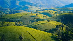 Grassland Shrub Encroachment Increases Groundwater Recharge