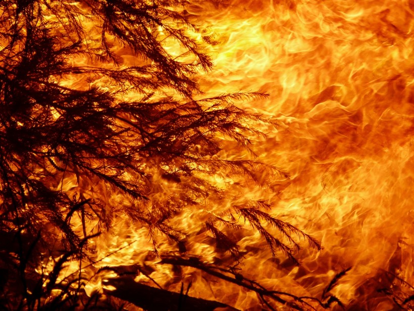 Study reveals the large extent of Victorian bushfires