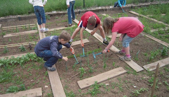 School Gardens: A Must for Learning