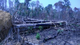 Malaria Risk in Deforestation Hotspots (IMAGE)