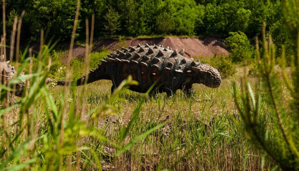 Mummified Armored Ankylosaur Dinosaur Stomach Contents Provide Insights into Prehistoric Ecology