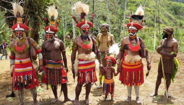 New research solves mysteries on ancient Papua New Guinea staples