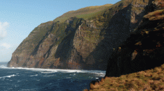 Pictured are cliffs along the island of Corvo -- until recently it was unknown how many birds breed there.