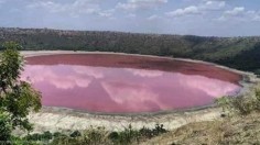 50,000-Year-Old Indian Lake Just Turned Pink, Baffling Scientists and Experts