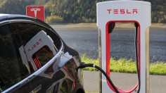 Tesla teams up with SailGP in the pledge to be carbon neutral by 2025