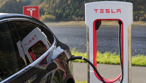 Tesla teams up with SailGP in the pledge to be carbon neutral by 2025