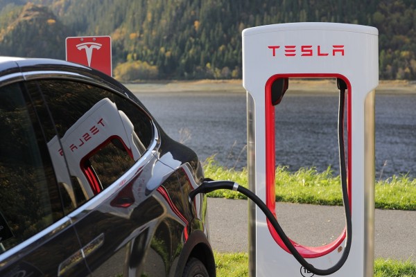 Tesla teams up with SailGP in the pledge to be carbon neutral by 2025