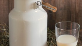 New Study Says Unpasteurized Milk Harbors Many Drug-Resistant Genes