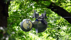 SlothBot: A Cute and Slow Sloth Robot that Merges Conservation with Technology