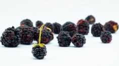 Nature World News - Black raspberries could reduce skin inflammation and skin allergies