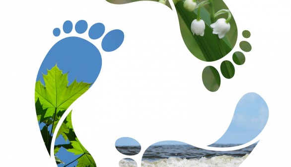 How Can People Reduce Their Carbon Footprint? 