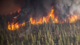 Wildfire Alert: Evacuation Ordered as Fire Spreads Near Evergreen, Colorado 