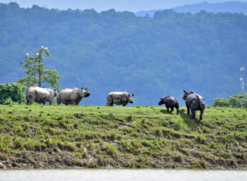 Assam Flooding Toll:  Scores of People Killed, 2.5 Million Evacuated and 9 Endangered Rhinos Dead