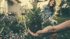 3 Simple Steps to Get Gardening Today