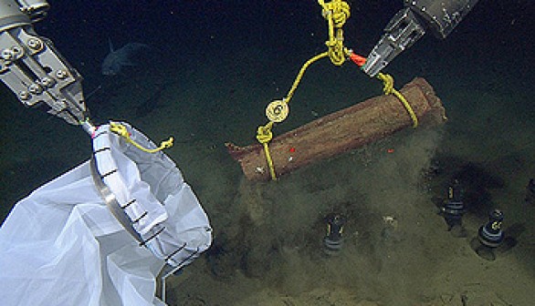 Marine biologists drop acacia wood bundles on the sea floor of the Monterey Canyon.