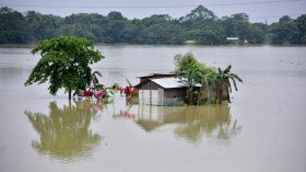 Nature World News - South Asia Floods: Death Toll at 550, Millions Displaced, Looming Humanitarian Crisis 