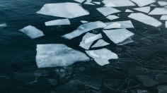 NASA Satellites Show Two Canadian Arctic Polar Ice Caps Gone Due to Climate Change, as Predicted in 2017