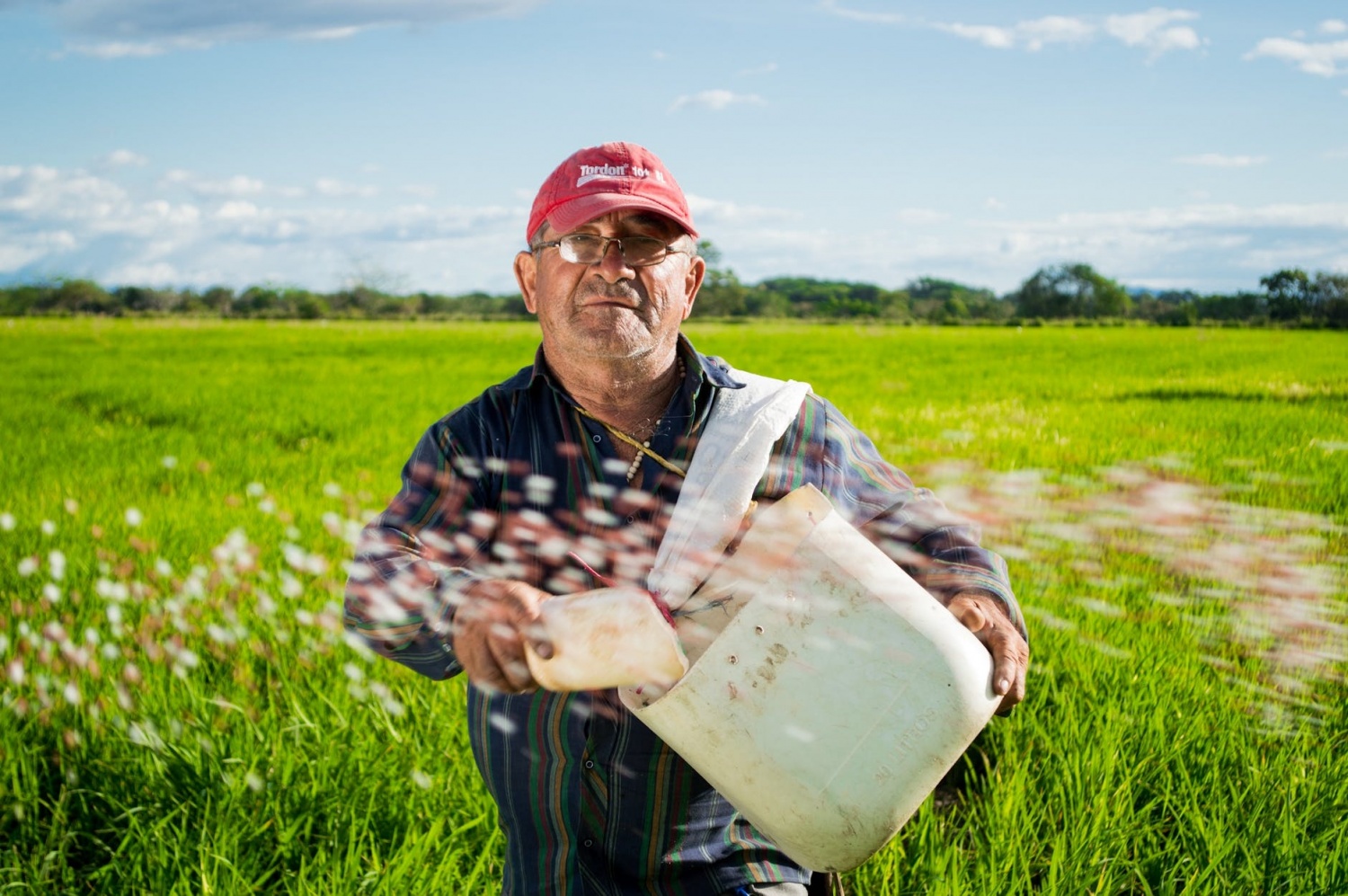 Agriculture Now The Largest Source Of Sulfur To The Environment ...