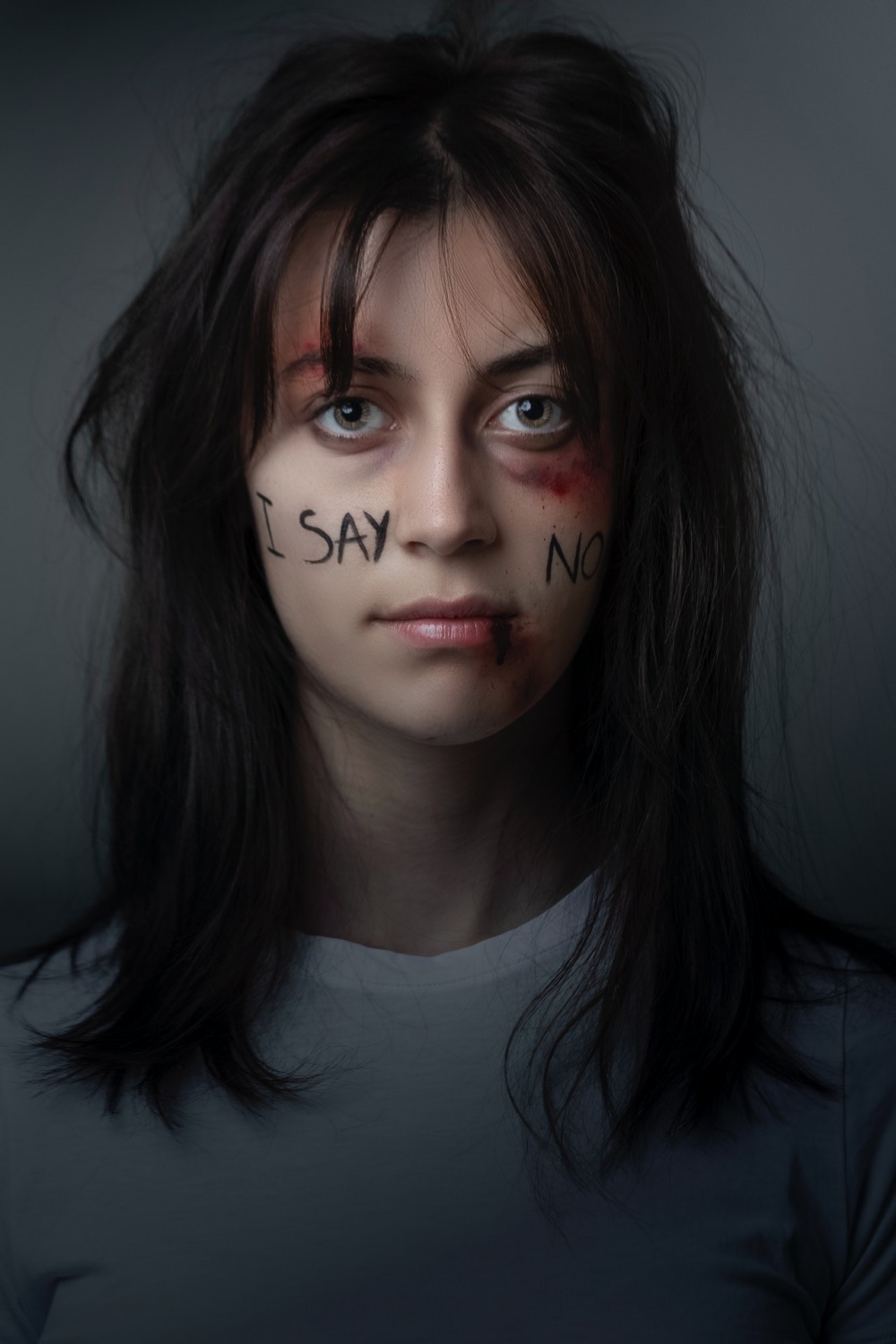 effects of domestic violence on society
