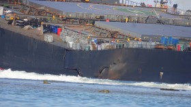 Mauritius Oil Spill: The Ship Leaking Oil Has Split in Two 