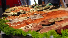 Five Popular Seafoods in Australia Had Microplastics – Study