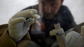 A scientist separates blood cells from plasma cells to isolate any Ebola RNA in order to test for the virus at the European Mobile Laboratory in Gueckedou, Guinea on April 3, 2014. 