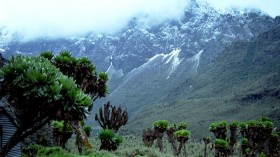 Africa's Rwenzori Mountains