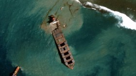Nature World News - Mauritius Oil Spill A Month After the Spill: How Bad is the Damage?