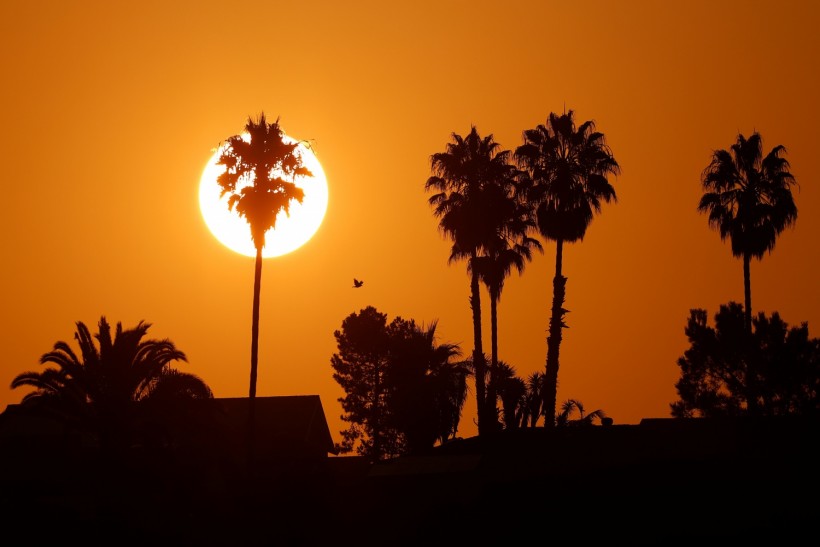Labor Day Holiday Weekend: Record Heat Temperatures of More Than 50 Million in the US