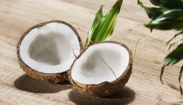 Production of Cheap Biodiesel and Bioethanol from Coconut Waste