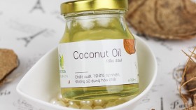 Coconut Oil: A Potent, Safe Insect Repellent 