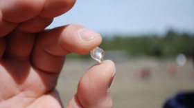 David Anderson holding his 6.19-carat white diamond found at the Crater of Diamonds State Park